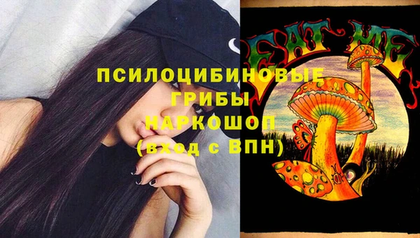 mix Алексин