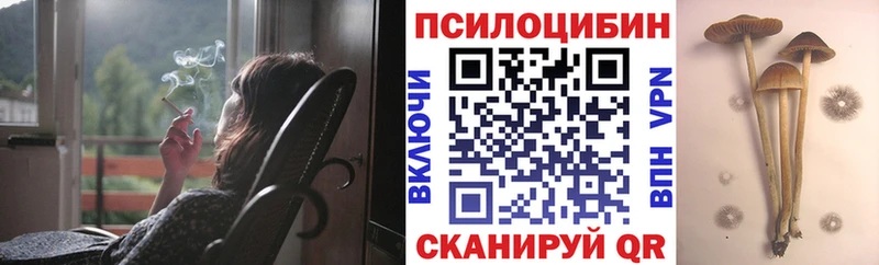 Псилоцибиновые грибы мицелий  гидра зеркало  Шуя  цены  