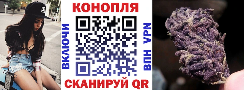 Канабис семена  как найти   Шуя 